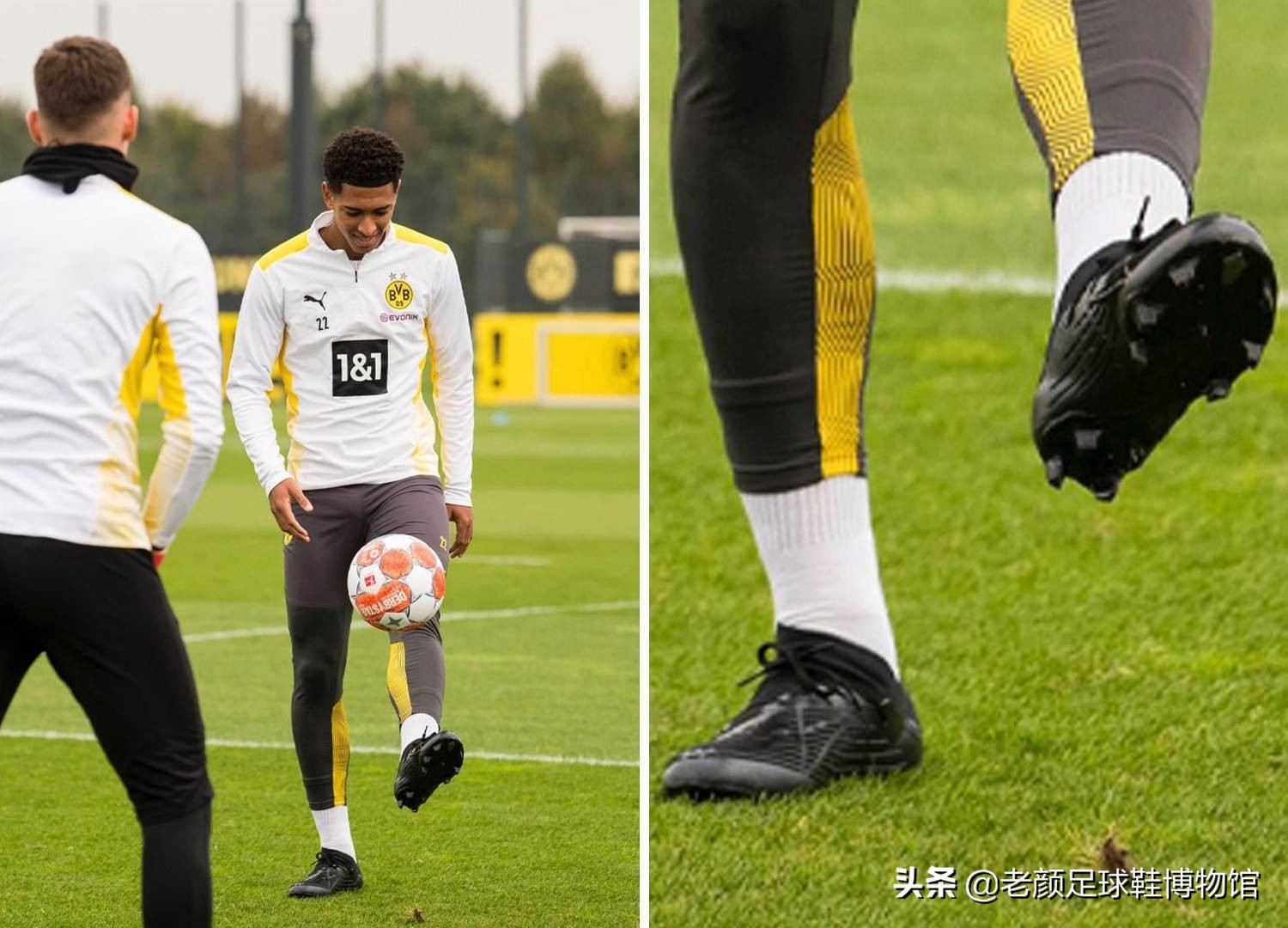 冠军刘焕华 冠军刘焕华