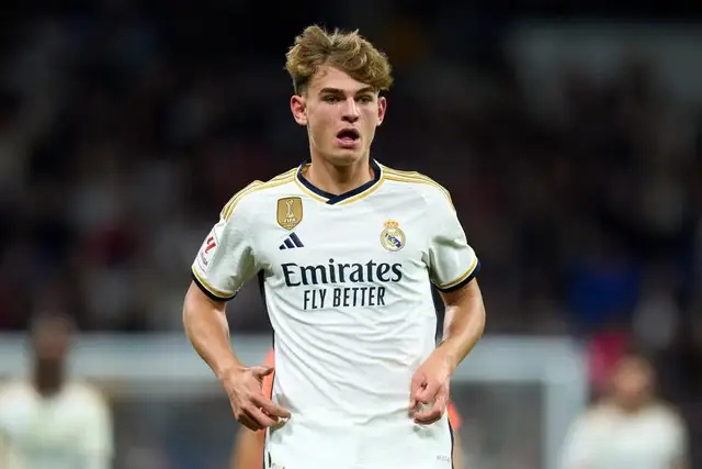 加州特有的 加州特有的